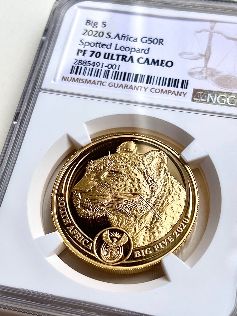 International Coins collection — placeholder photograph